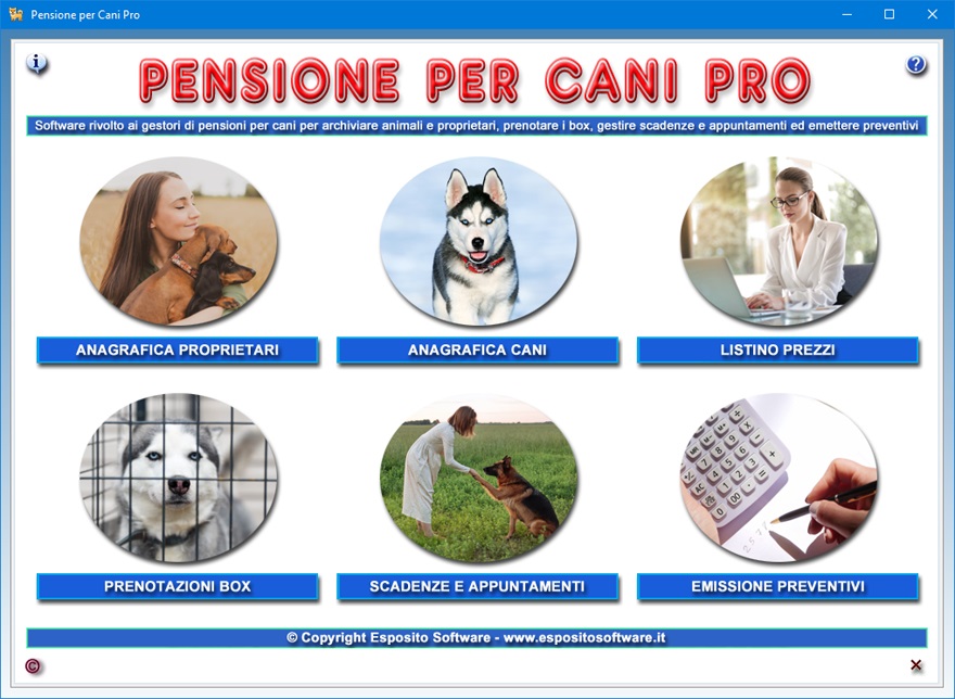 Asilo per cani, dove, costi, attività